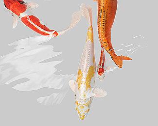 风起江南荡敌寇 刀剑动作游戏《听风者也》现已发售